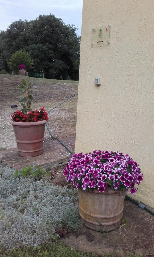 Villa Poggio Dell'Olivo Pitigliano Exterior foto